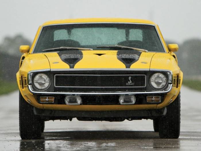 1970 Ford Mustang Shelby GT350 (18 )