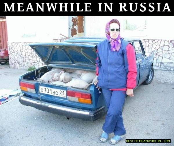   Meanwhile in Russia (23 )