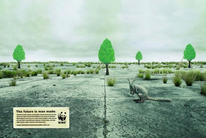  Реклама дикой природы (41 фото)