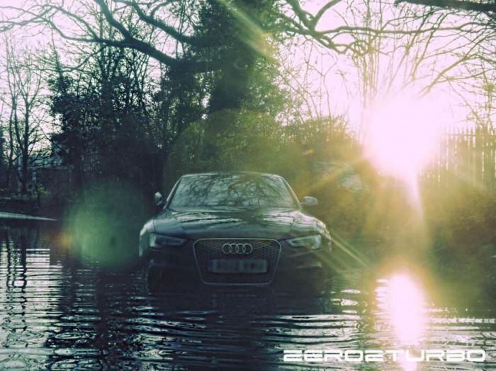  Audi RS5 (5 )