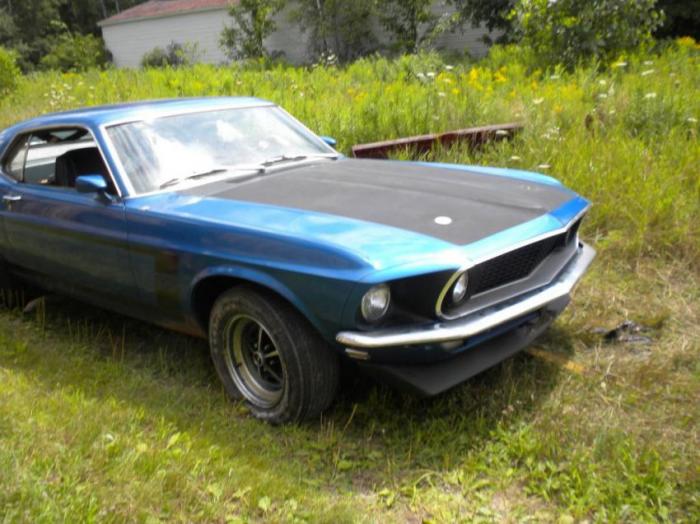   Ford Mustang (14 )