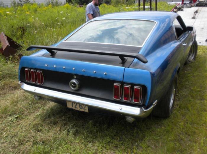    Ford Mustang (14 )