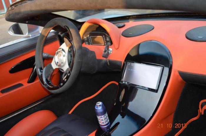  Bugatti Veyron   (25 )