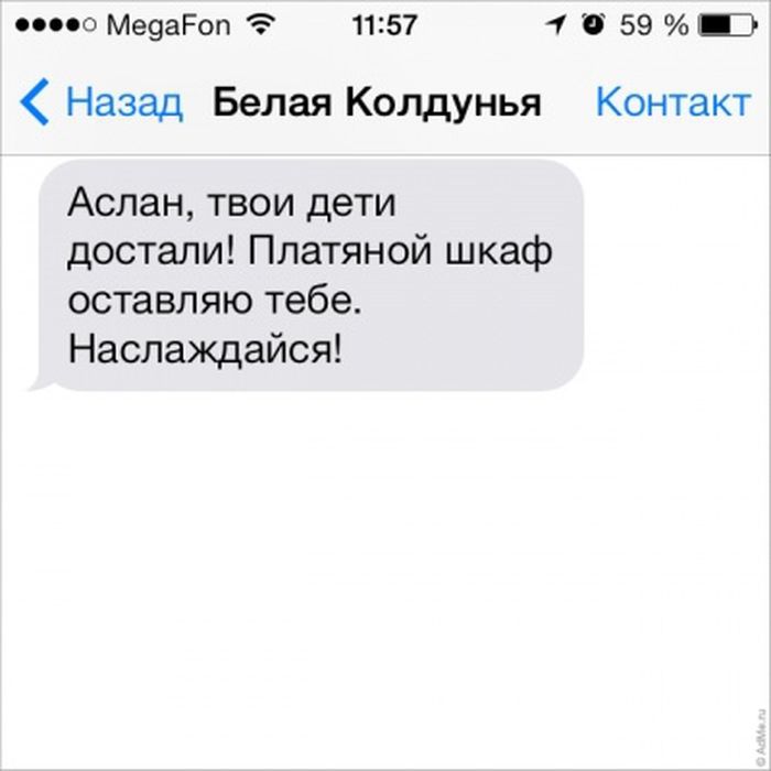  SMS    (31 ) 