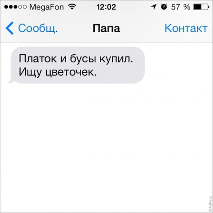  SMS    (31 ) 
