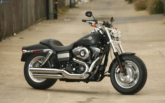   Harley-Davidson       (11 ) 