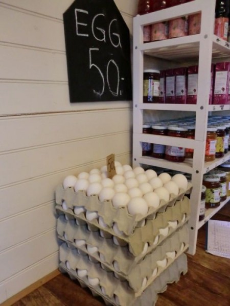 Магазины без продавцов в Норвегии  (11 фото)