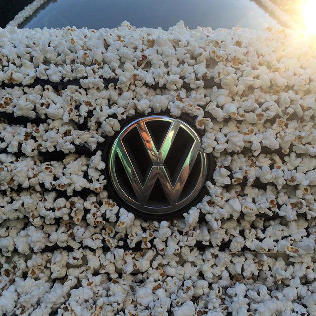 Попкорновый Volkswagen (4 фото)
