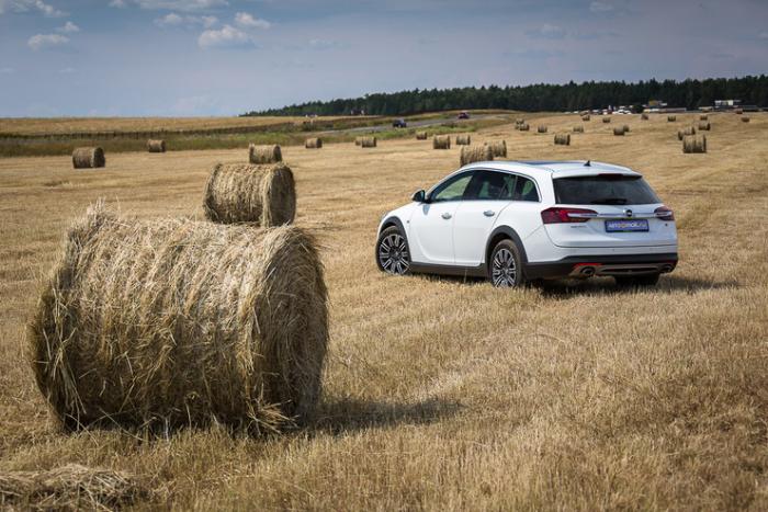  Opel Insignia Country Tourer (11 )