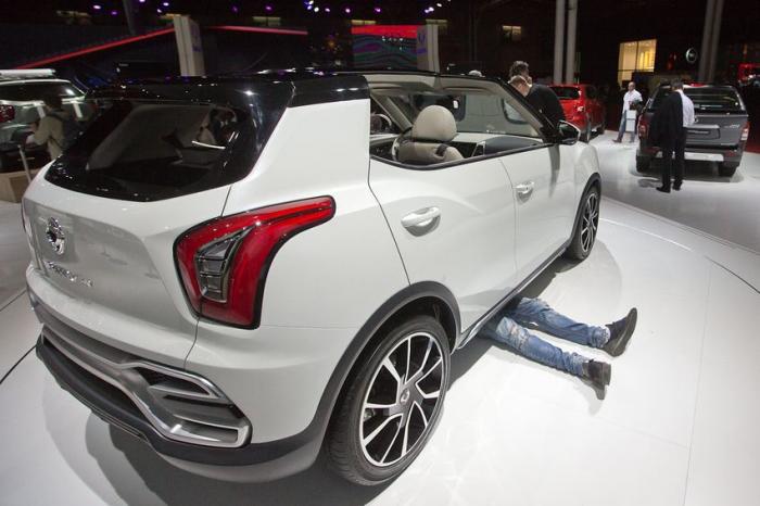     Paris Motor Show 2014 (87 ) 