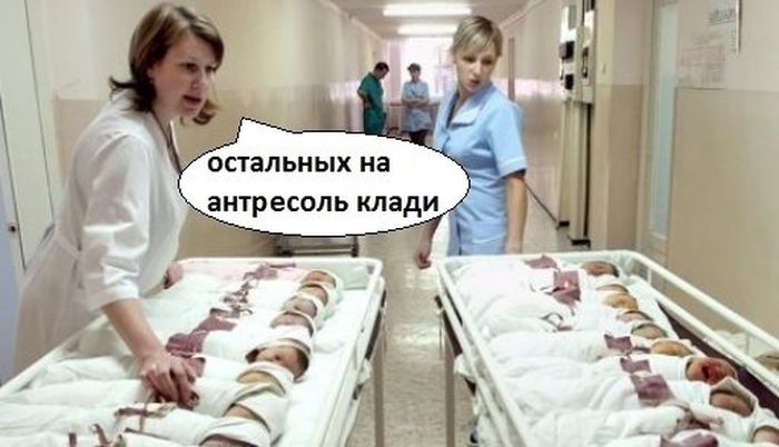 Картинки приколы роды