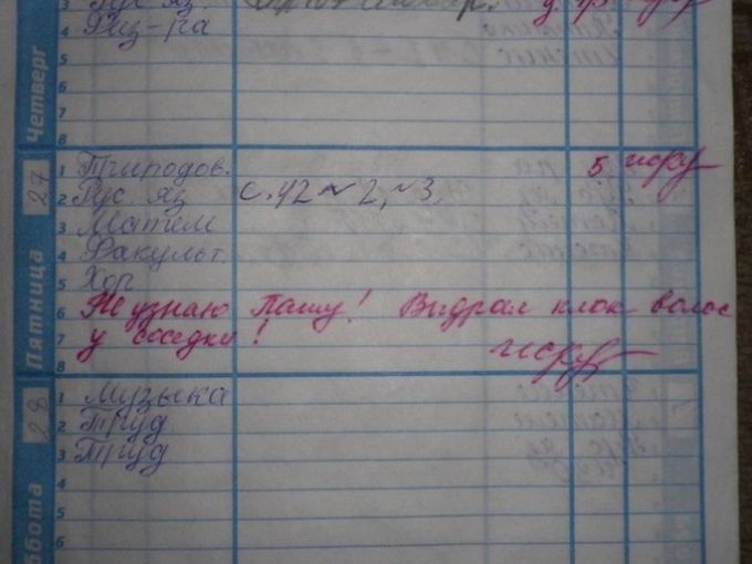  Весёлые записи в школьных тетрадках и дневниках (38 фото) 