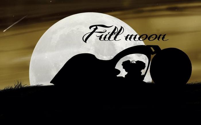   Akrapovic "Full Moon" (14 )