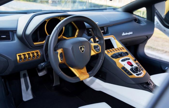 Lamborghini Aventador   (13 )