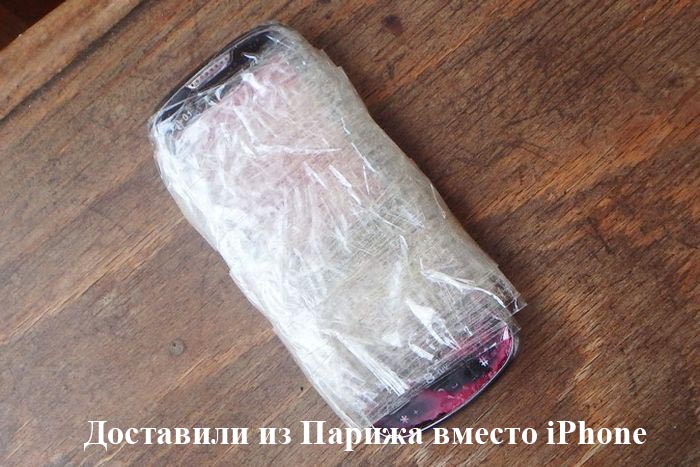 По пути из Парижа в Санкт-Петербург iPhone превратился в муляж (2 фото)