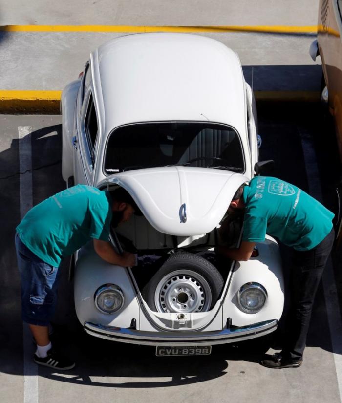 Cобрание владельцев VW Beetle в Бразилии (13 фото) 