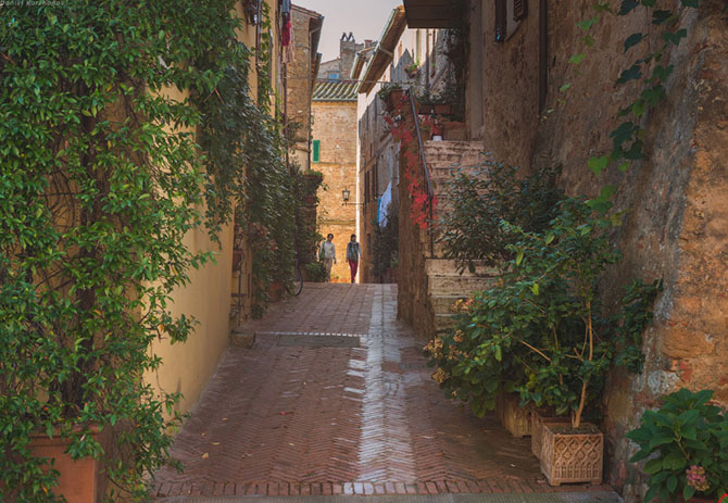    : Pienza (60 )