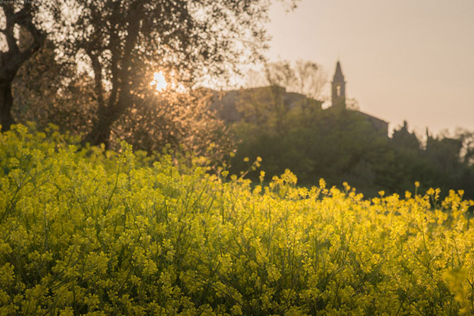    : Pienza (60 )