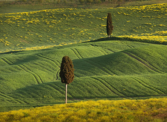    : Pienza (60 )