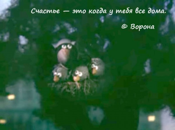 51 цитата из любимых советских мультфильмов (51 фото)