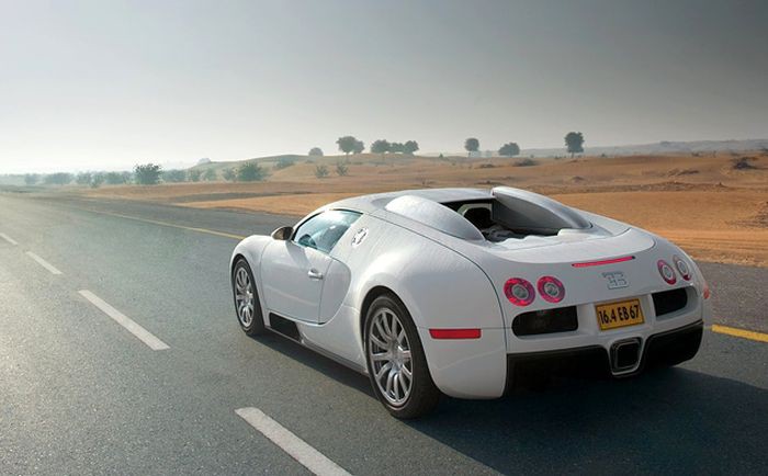     Bugatti Veyron (28 )