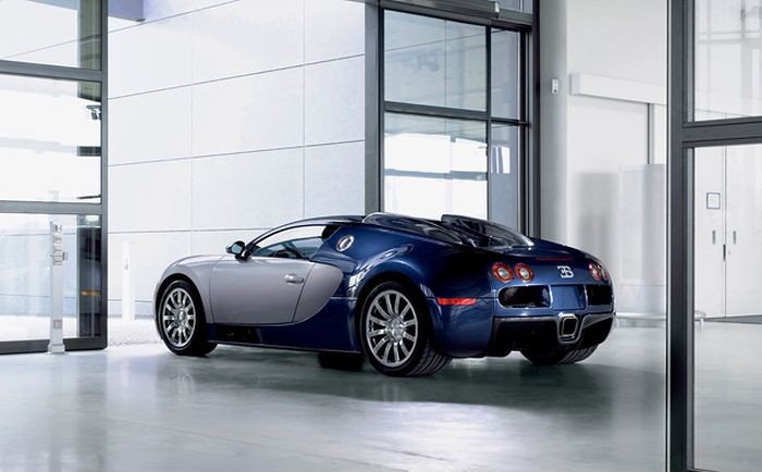     Bugatti Veyron (28 )