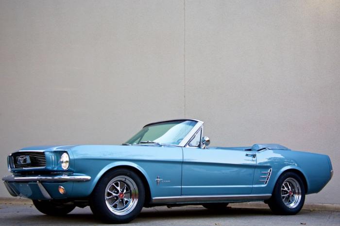       Mustang (11 )