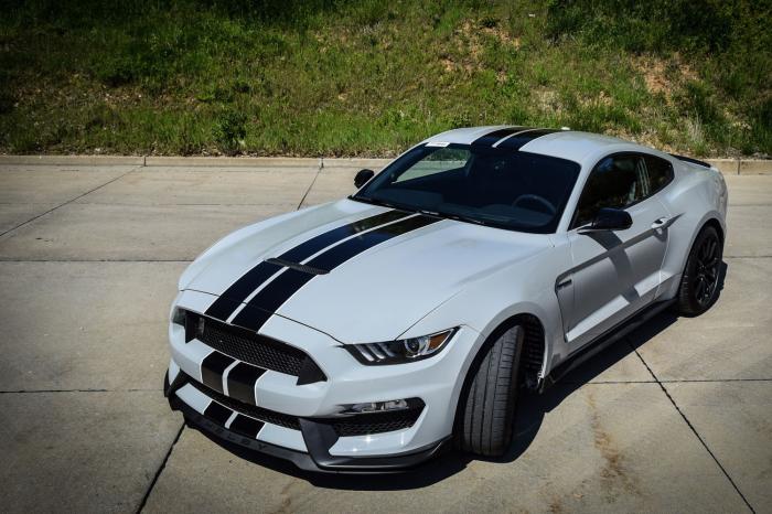   Shelby Mustang GT350 (20 )