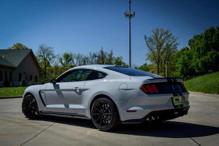   Shelby Mustang GT350 (20 )