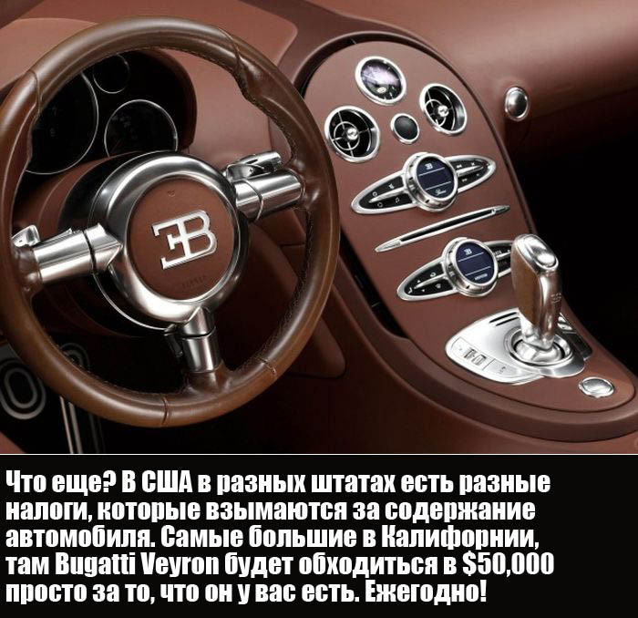    Bugatti Veyron (6 )