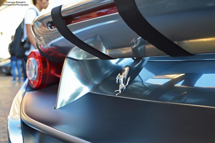  Ferrari F12 TRS   (8 )