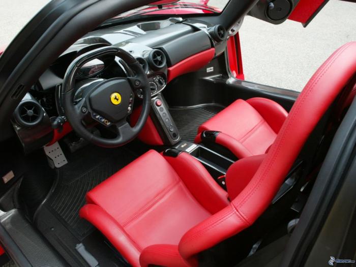 Ferrari Enzo   (17 )