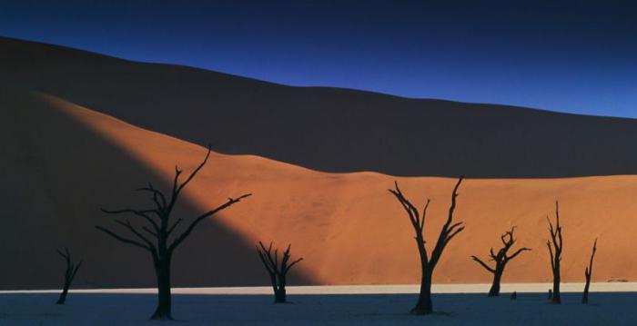  ,   Art Wolfe (29 )