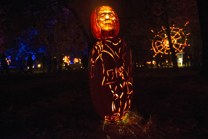  Great Jack O' Lantern Blaze (17 )