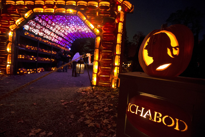  Great Jack O' Lantern Blaze (17 )