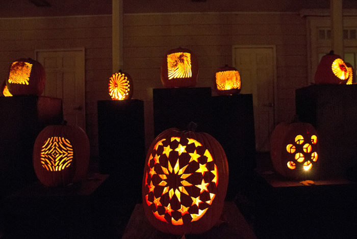  Great Jack O' Lantern Blaze (17 )