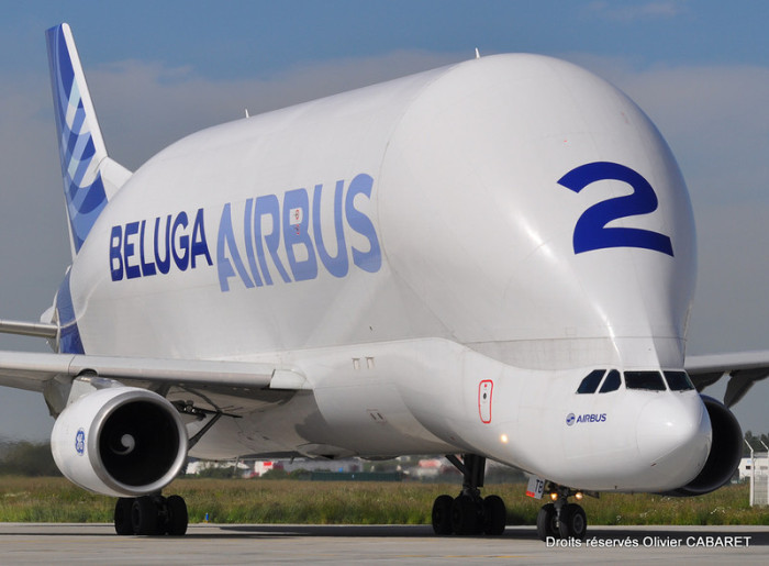 Airbus Beluga -   (11 )