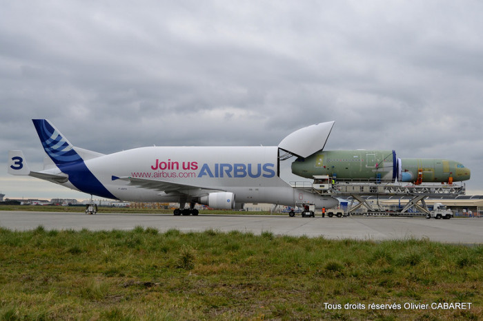 Airbus Beluga -   (11 )
