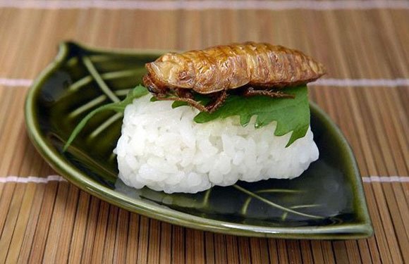 Приятного аппетита по-японски (10 фото)