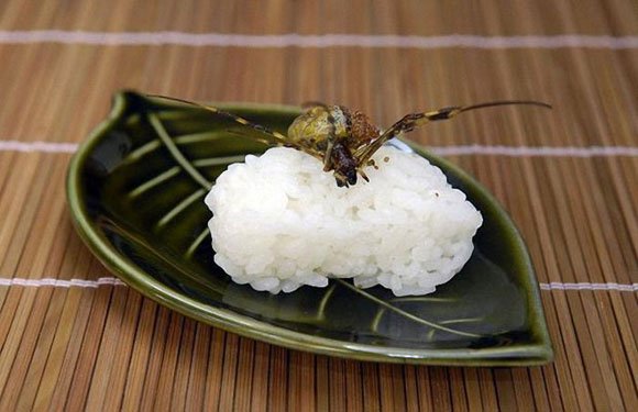 Приятного аппетита по-японски (10 фото)