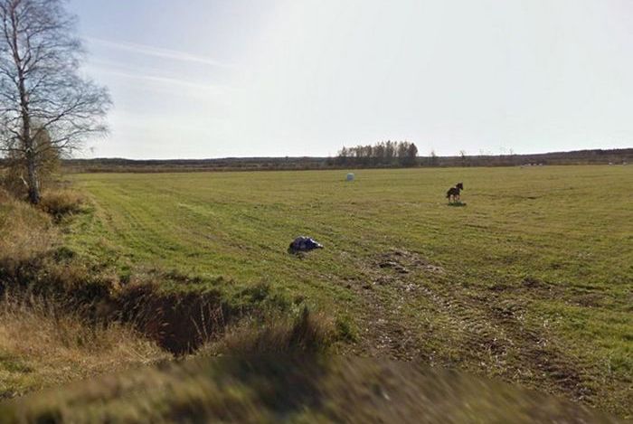      Google Street View (5 )