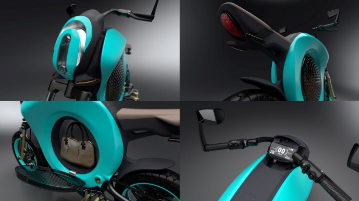   Grasshopper Concept Bike (4 )