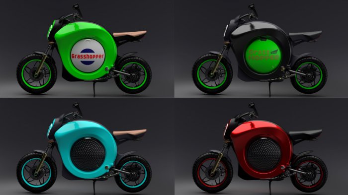   Grasshopper Concept Bike (4 )