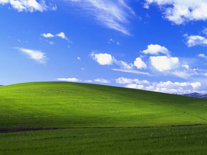      Windows XP (5 )