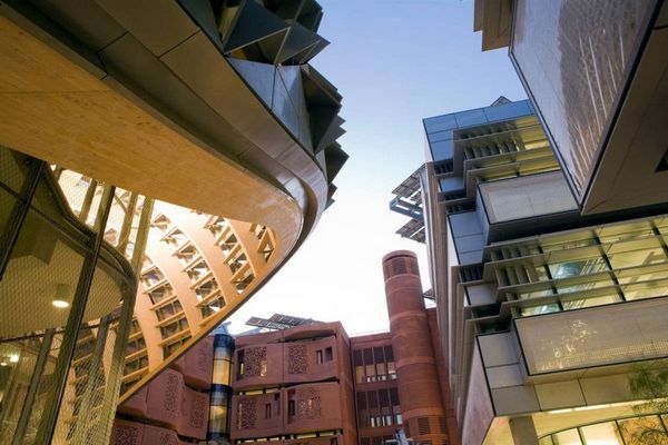 Masdar -   (8 )