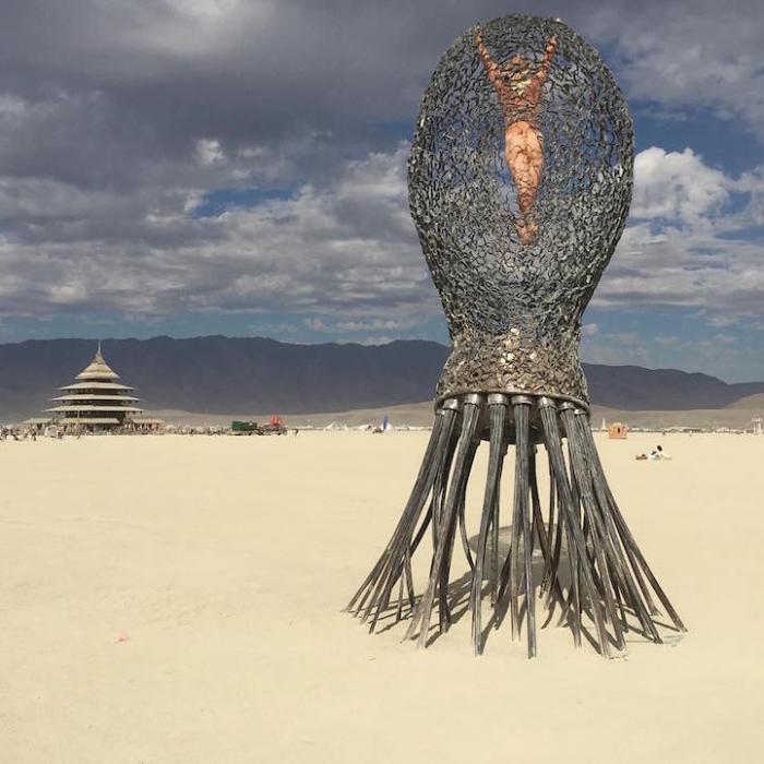   -  Burning Man 2016 (16 )