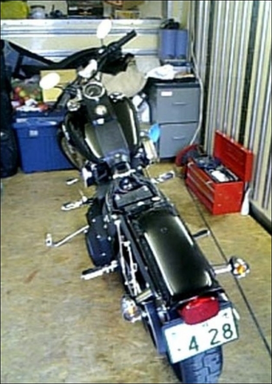 Harley Davidson:       (5 )
