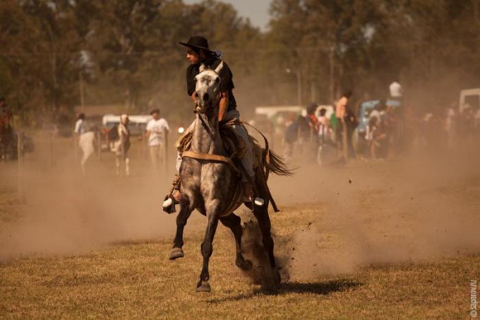   Fiesta de la Tradicion (54 )