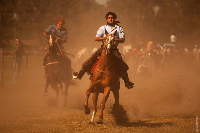   Fiesta de la Tradicion (54 )