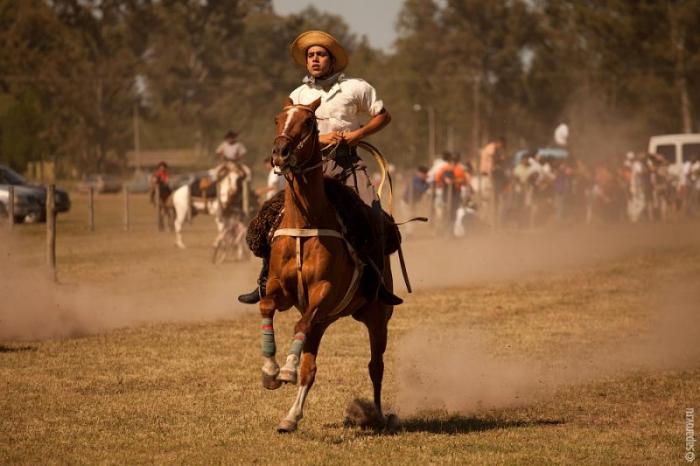   Fiesta de la Tradicion (54 )